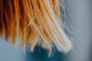 A detailed close-up of blonde hair strands with a soft and delicate focus, capturing the texture.