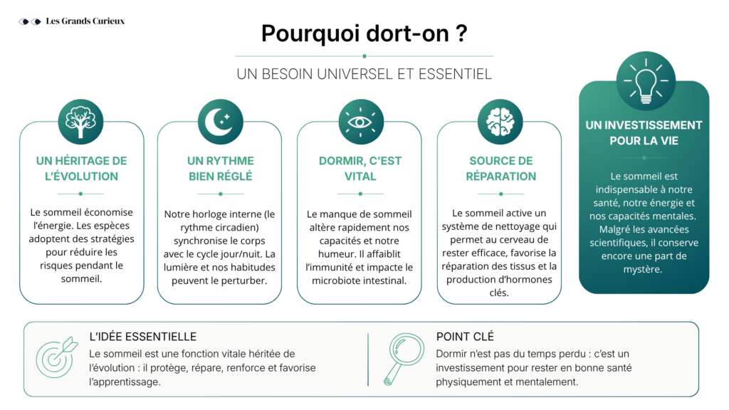 Pourquoi dort-on ?